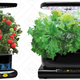 Miracle-Gro AeroGarden Sprout, $45 | Miracle-Gro AeroGarden Classic, $120 | Miracle-Gro AeroGarden Extra, $140